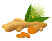 Turmeric icon